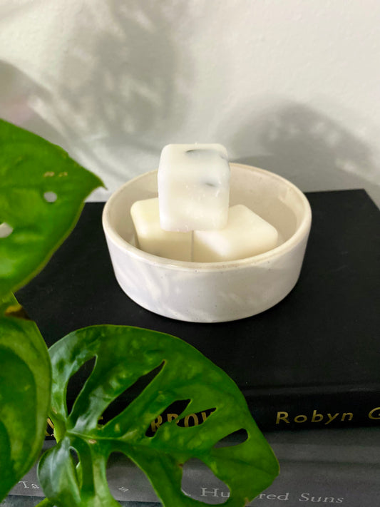 Eucalyptus & Citrus Wax Melts