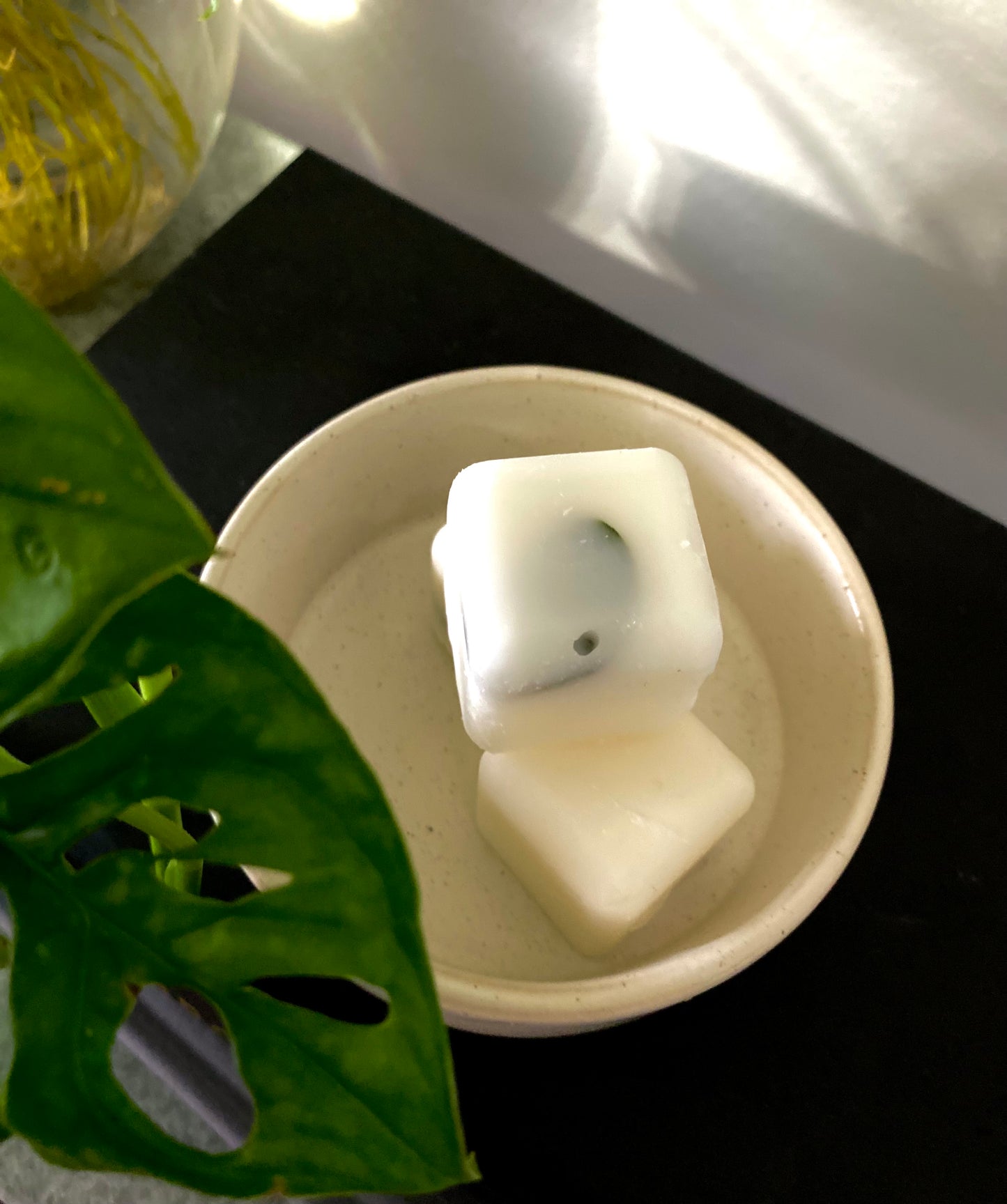 Eucalyptus & Citrus Wax Melts