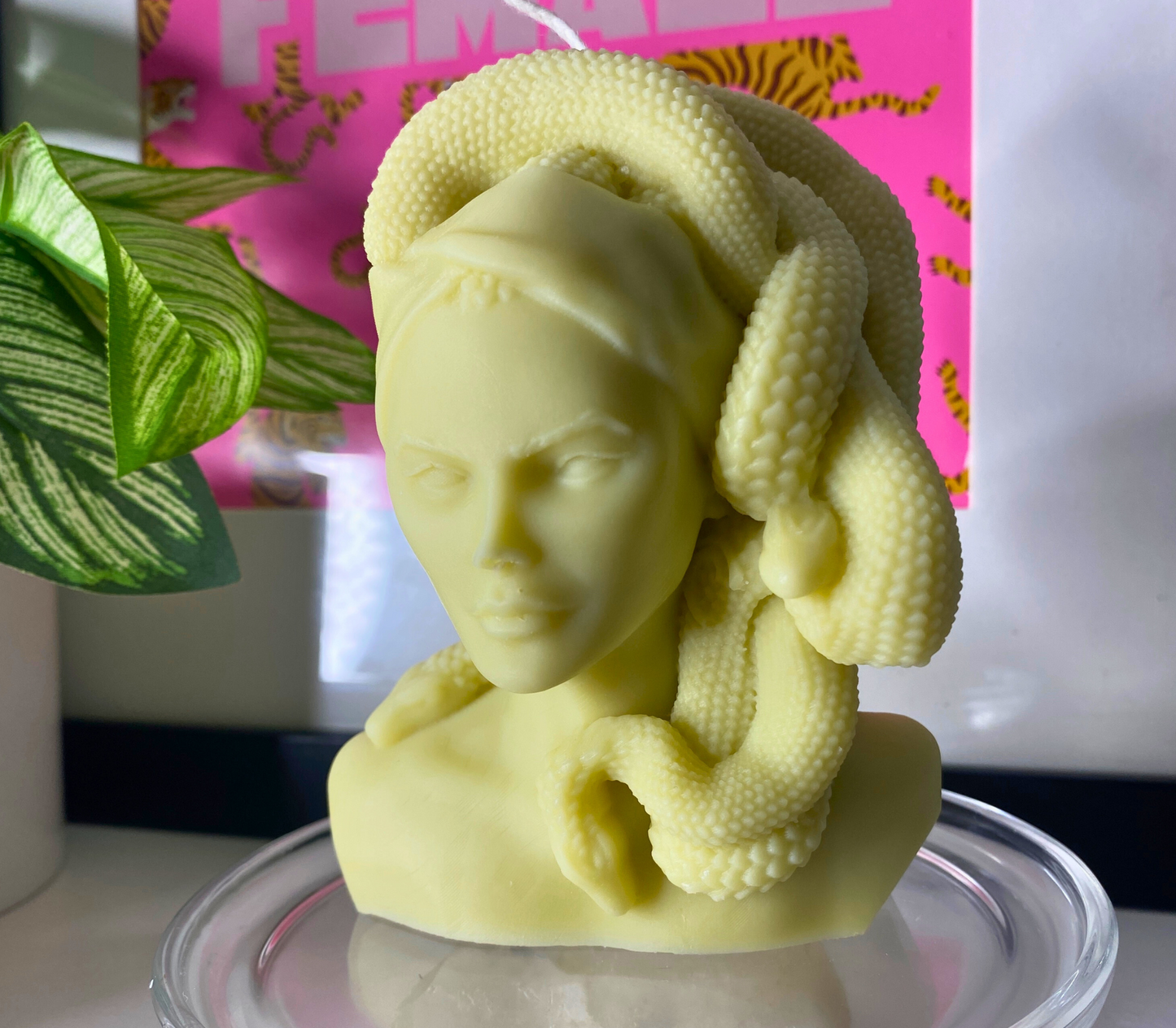 Medusa Bust