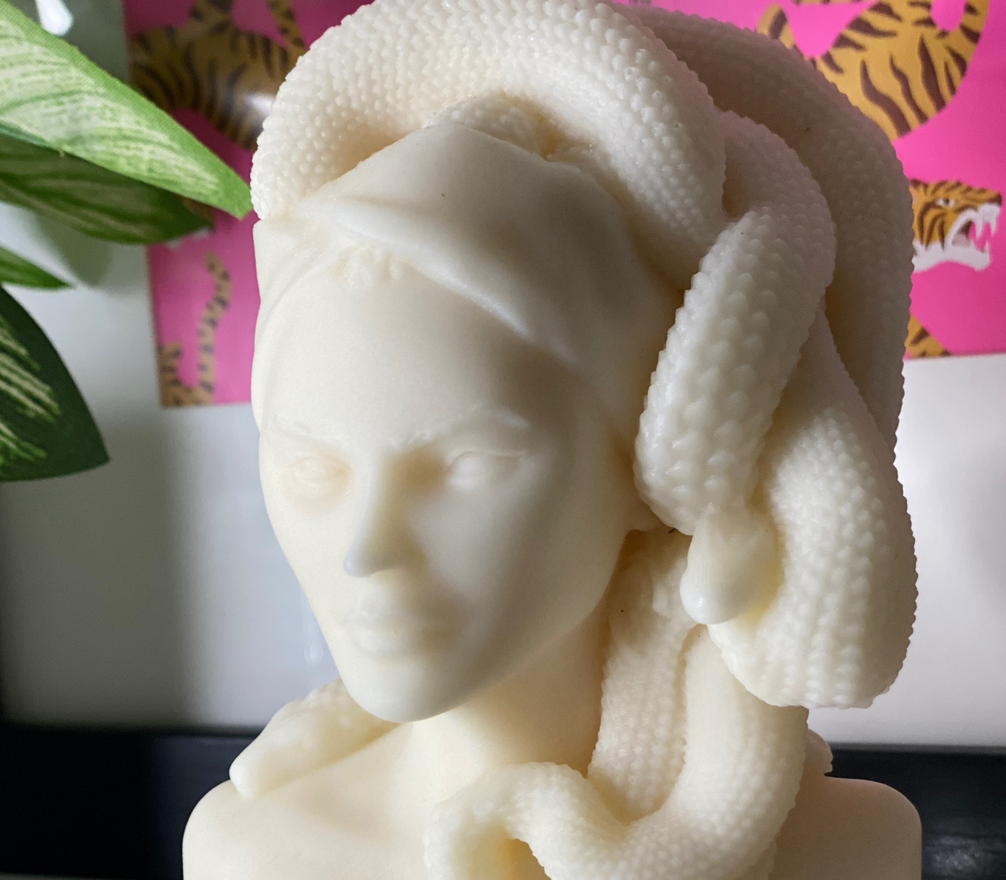 Medusa Bust