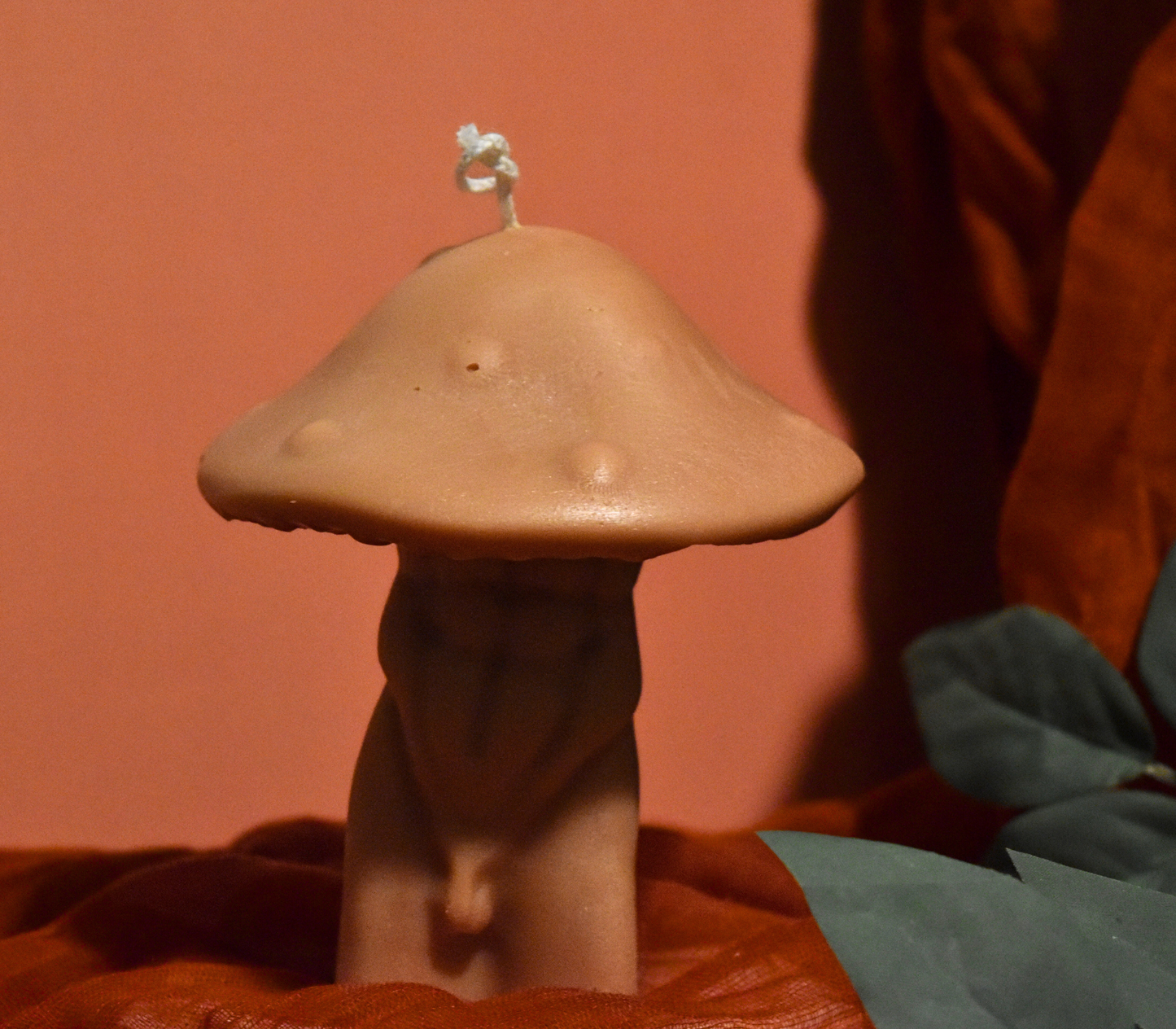 Mushroom Bae